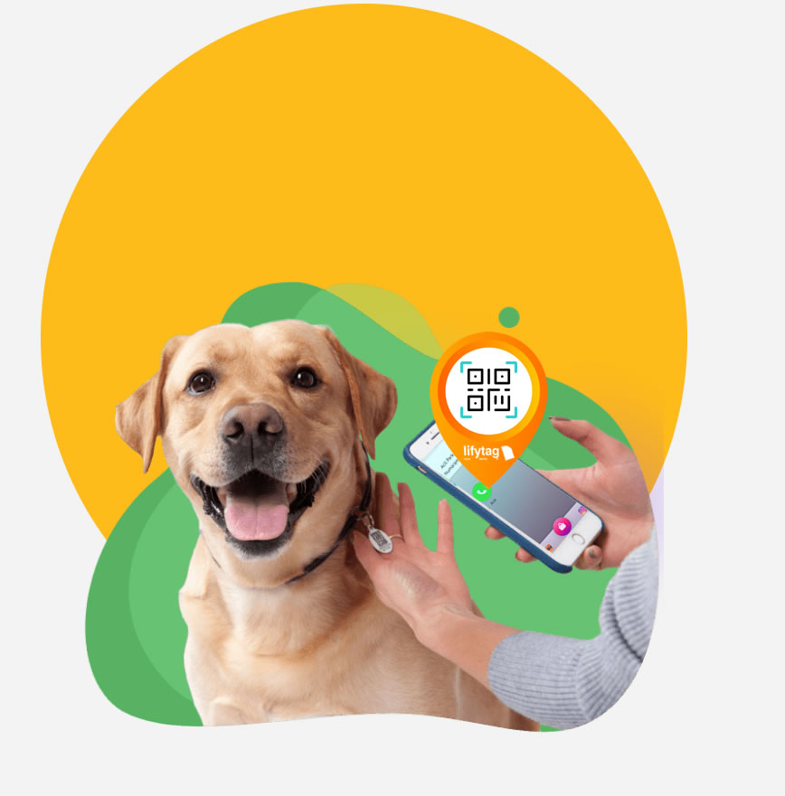 Pet Digital ID